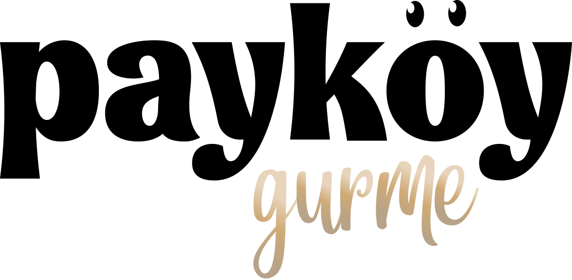 paykoy-gurme-logo-colored